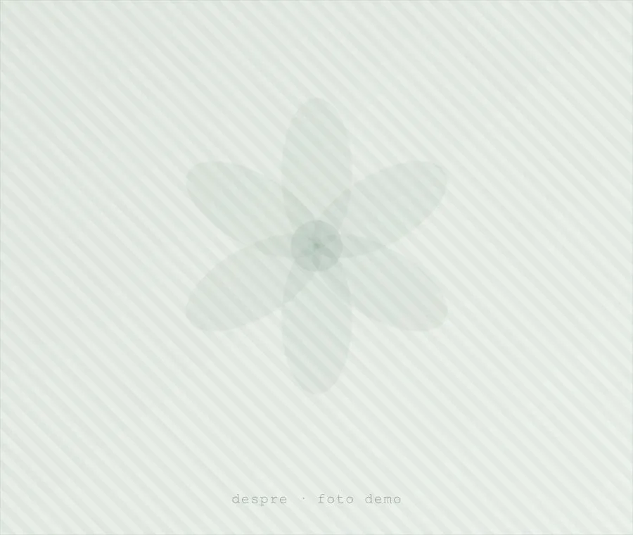 Florar aranjând un buchet în atelierul Florăriei Cataleya Garden