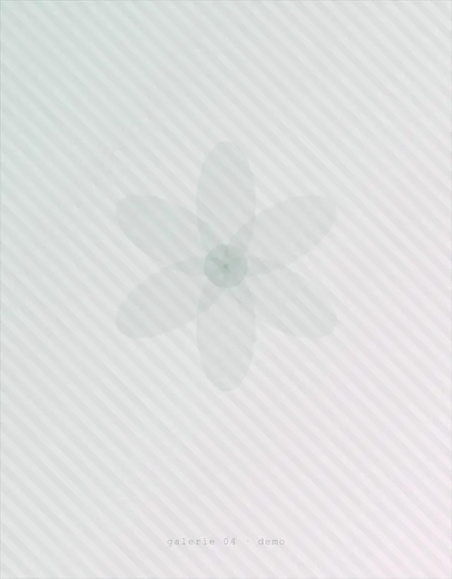 Plante la ghiveci în atelierul florăriei — Florăria Cataleya Garden